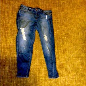 Lane Bryant Boyfriend Jeans size 24